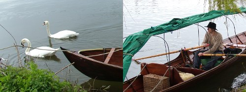 thames skiffs